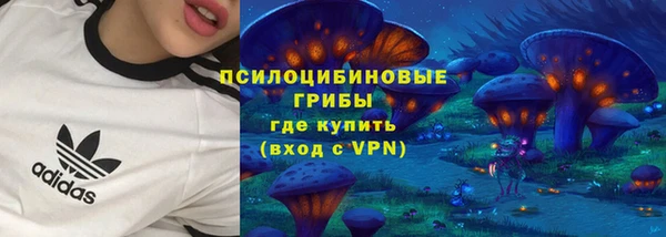 гидропоника Горнозаводск