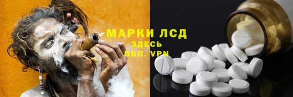 ECSTASY Горняк
