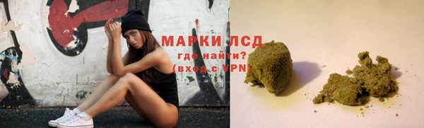 гидропоника Горнозаводск