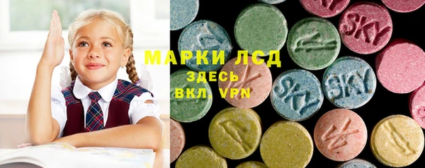 гидропоника Горнозаводск
